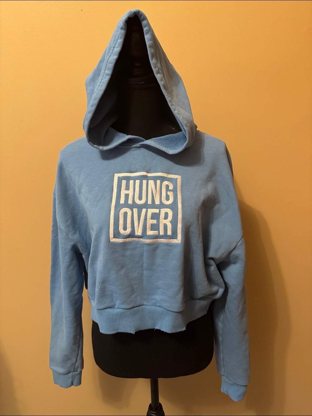 Boxy Blue and White Long Sleeve cropped Sweatshirt